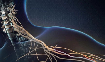 BPC 157 uses BPC 157 uses