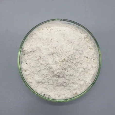 Paliperidone | Shaanxi BLOOM Tech Co., Ltd Paliperidone | Shaanxi BLOOM Tech Co., Ltd