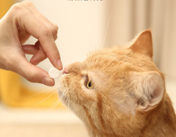 Fluralaner cats | Shaanxi BLOOM Tech Co., Ltd Fluralaner cats | Shaanxi BLOOM Tech Co., Ltd