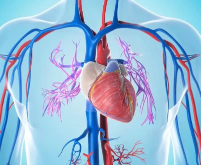 Bioglutide NA-931 Renal Function | Shaanxi BLOOM Tech Co., Ltd Bioglutide NA-931 Renal Function | Shaanxi BLOOM Tech Co., Ltd