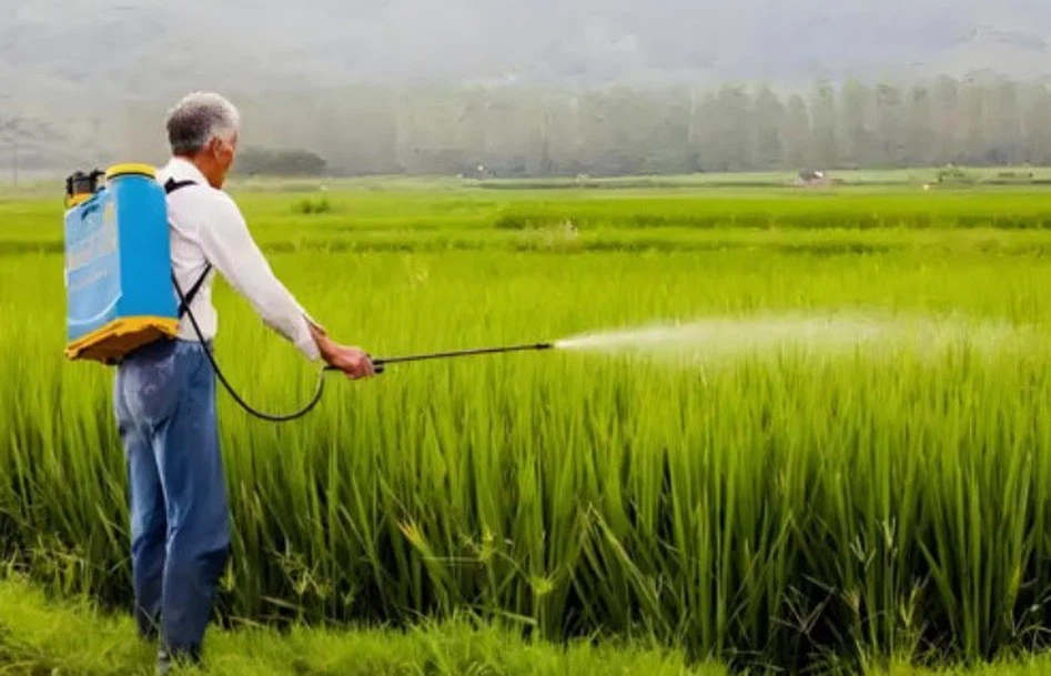 Synthetic chemicals Pesticides | Shaanxi BLOOM Tech Co., Ltd Synthetic chemicals Pesticides | Shaanxi BLOOM Tech Co., Ltd