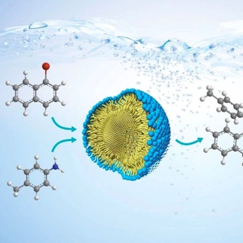 Best l arginine powder-use | Shaanxi BLOOM Tech Co., Ltd Best l arginine powder-use | Shaanxi BLOOM Tech Co., Ltd