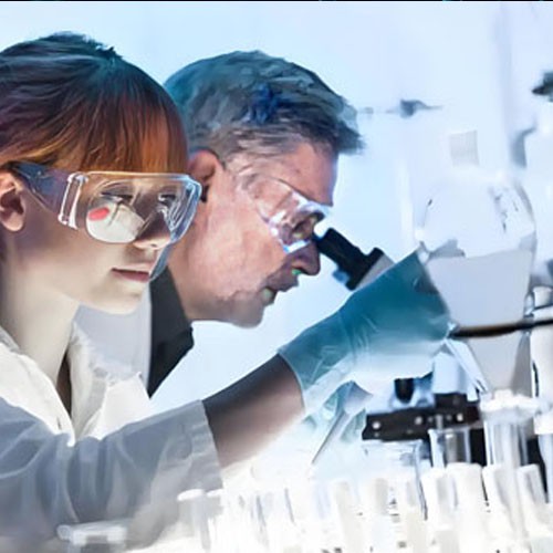 Dimethylcarbamoyl Chloride use | Shaanxi BLOOM Tech Co., Ltd Dimethylcarbamoyl Chloride use | Shaanxi BLOOM Tech Co., Ltd