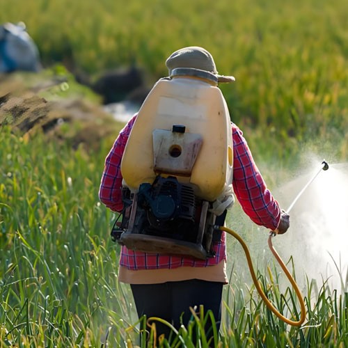 Dimethylcarbamoyl Chloride use | Shaanxi BLOOM Tech Co., Ltd Dimethylcarbamoyl Chloride use | Shaanxi BLOOM Tech Co., Ltd