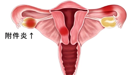 Benzophenone uses | Shaanxi BLOOM Tech Co., Ltd Benzophenone uses | Shaanxi BLOOM Tech Co., Ltd